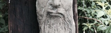 Preferenze