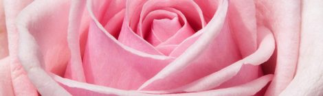 LA ROSA, L'ARCHETIPO DEL SE'